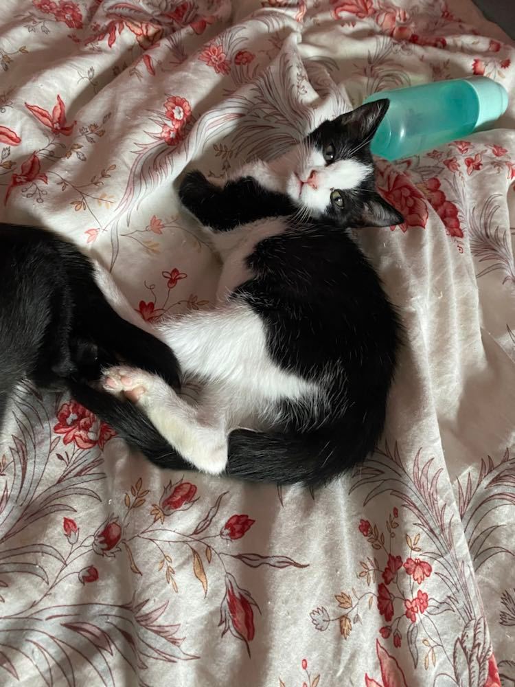 311888222_467777585329404_7795418209303728141_n