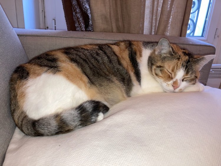 312347103_681182686553880_4675046919183627784_n