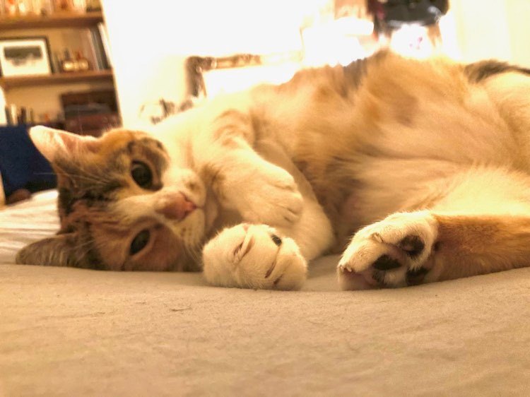 312503925_479833137266638_5596423157076754507_n