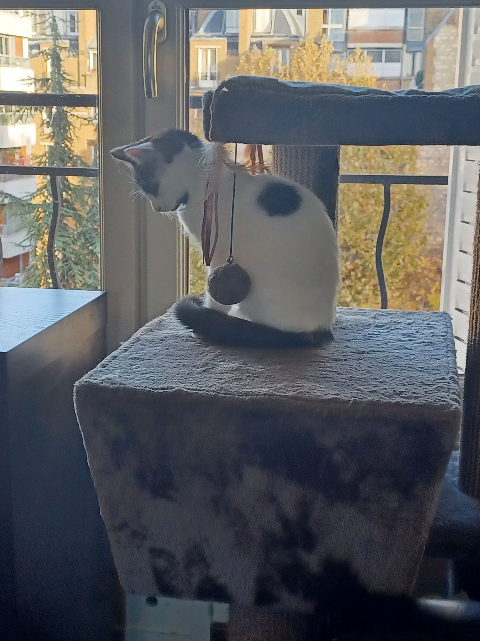 312515248_561945359030166_5479094817756054743_n