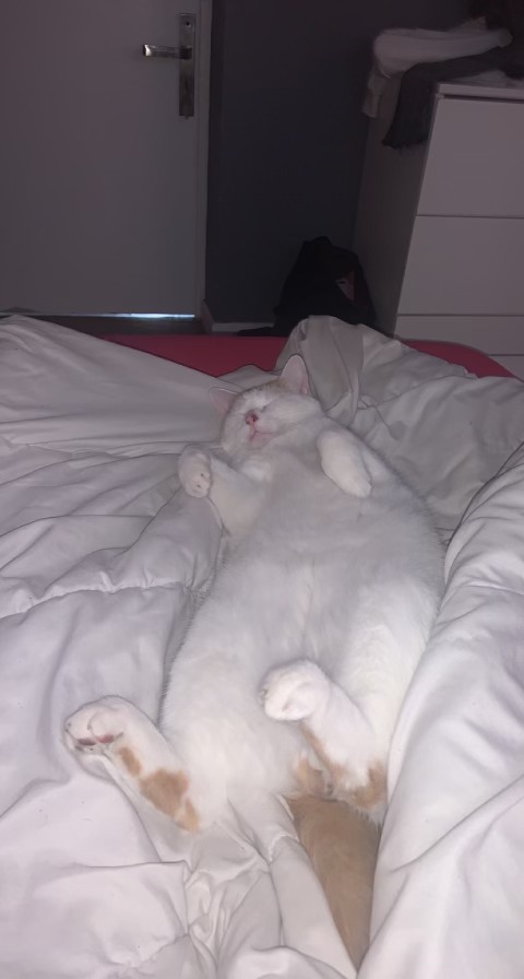 312560431_835379681214336_6455082982484593841_n