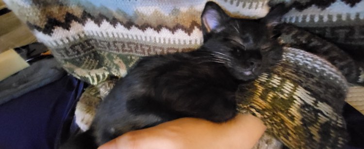 312603824_799621541330957_1311604722176659975_n