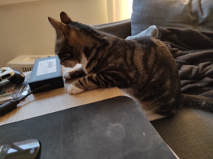 312969533_5525128170909391_869992290423711795_n