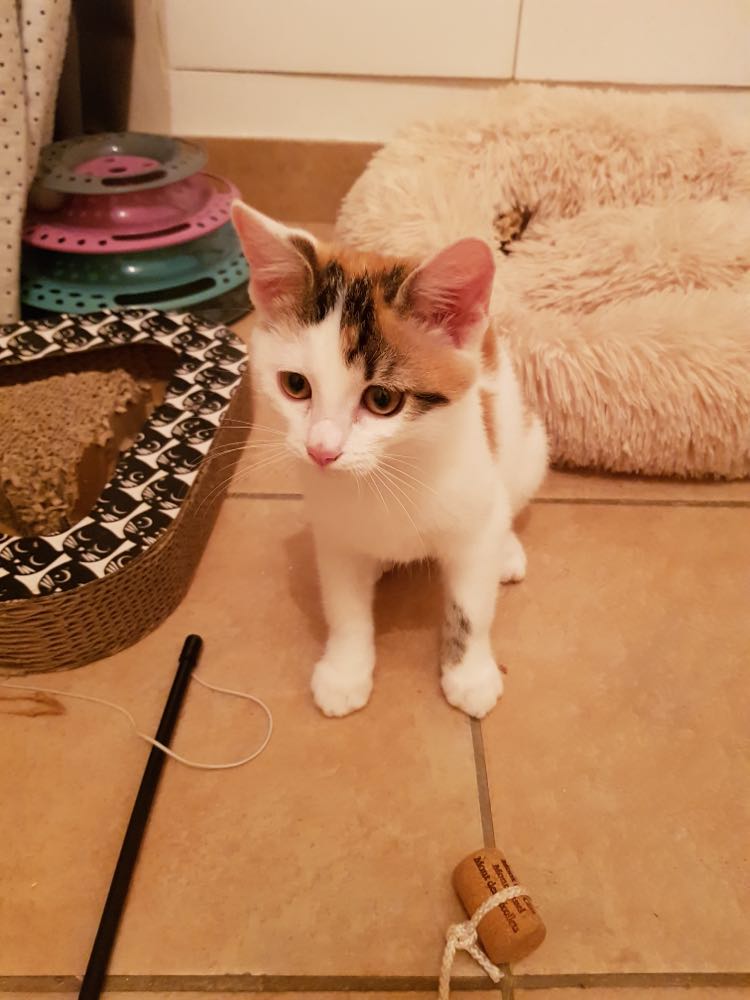 312969533_681145106579432_545820533069703154_n