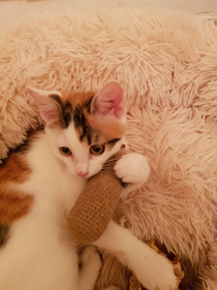 313005221_684998439662815_1519798997336974013_n