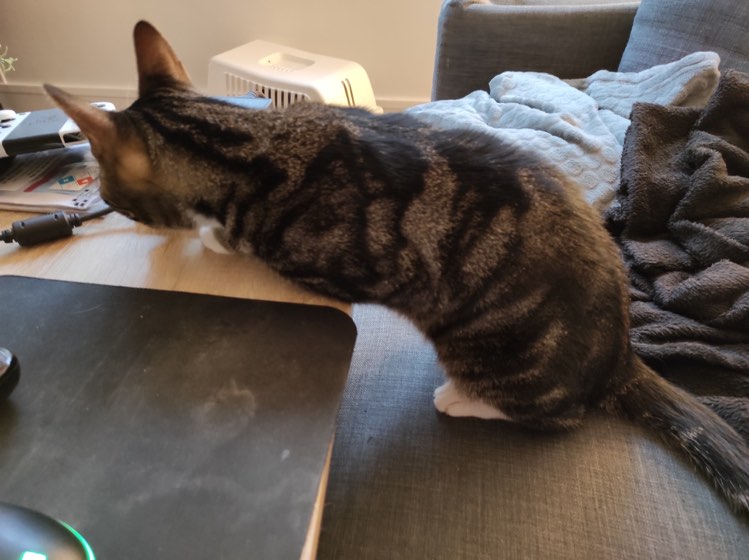 313006861_511845394171676_9140253790290258275_n