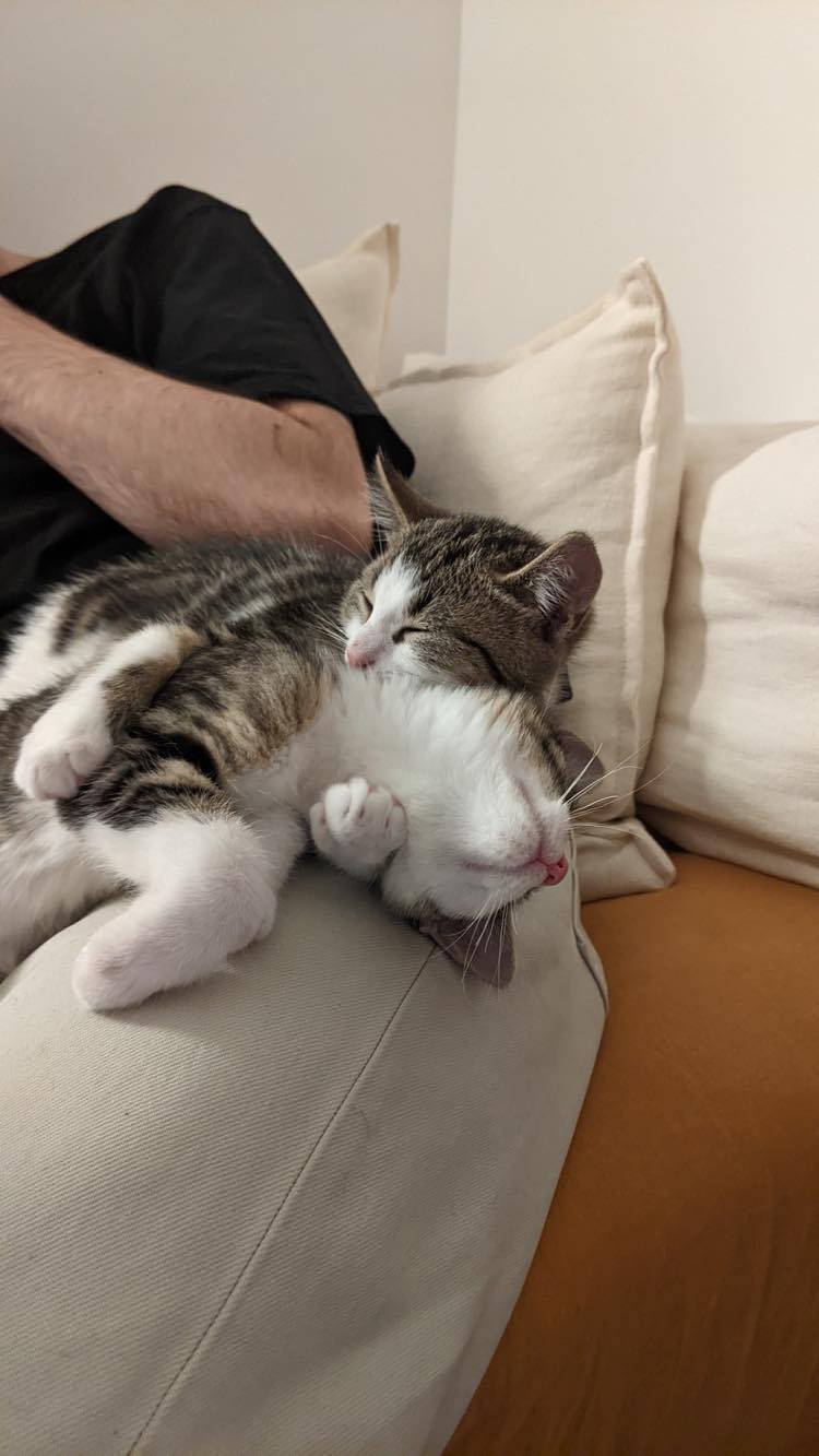 313023959_950421815917592_1532542320716096862_n