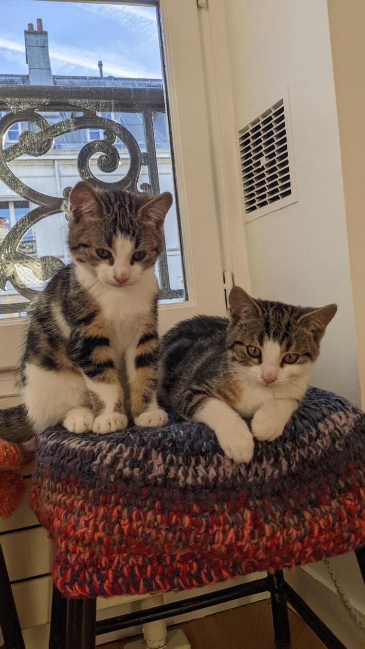 313027762_635145457948477_9204448769494430301_n