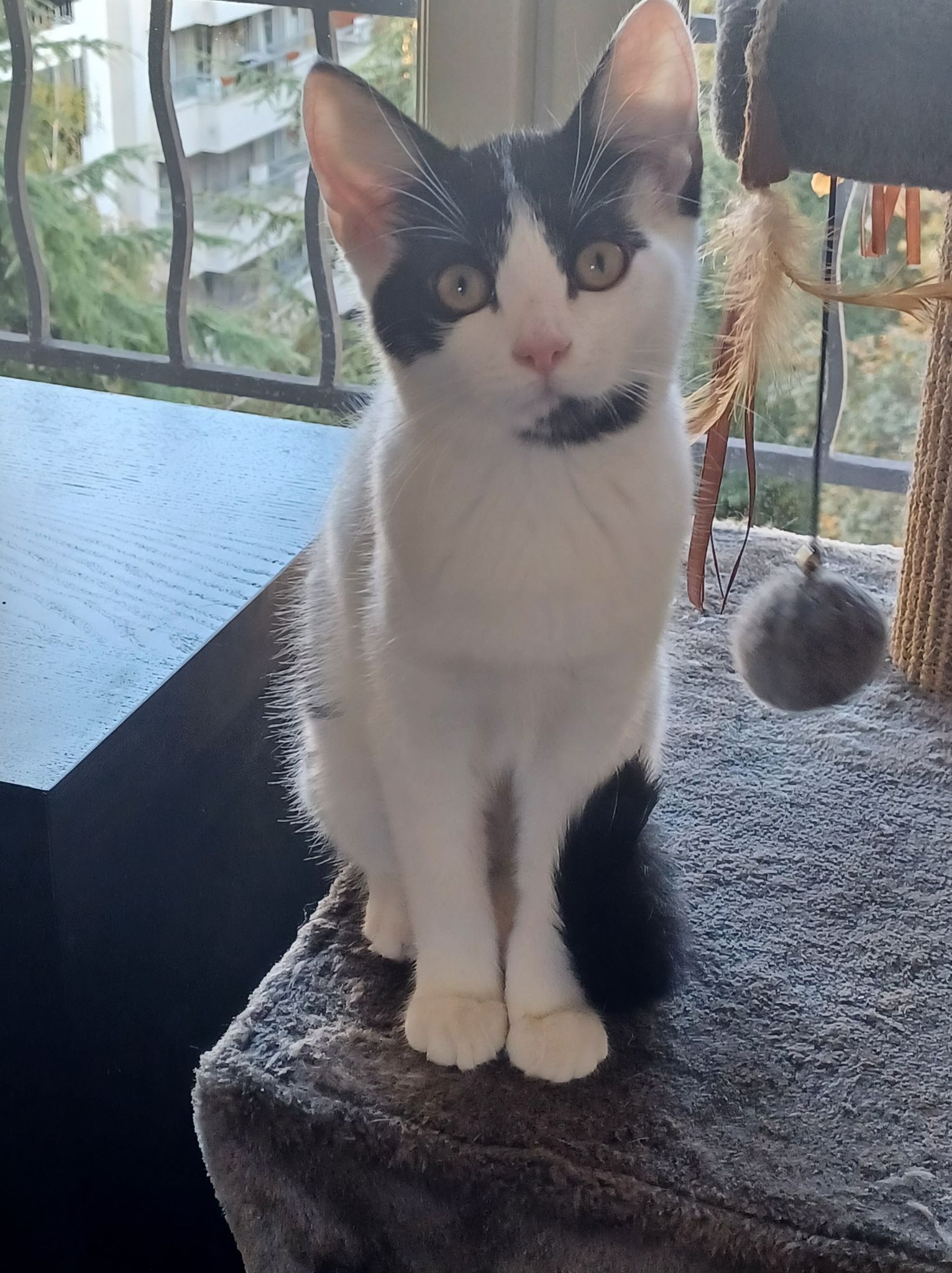 313040724_1312042236001190_4037903343830093739_n-1