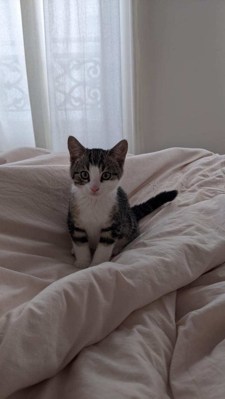 313049373_642866370805147_845142678596579684_n