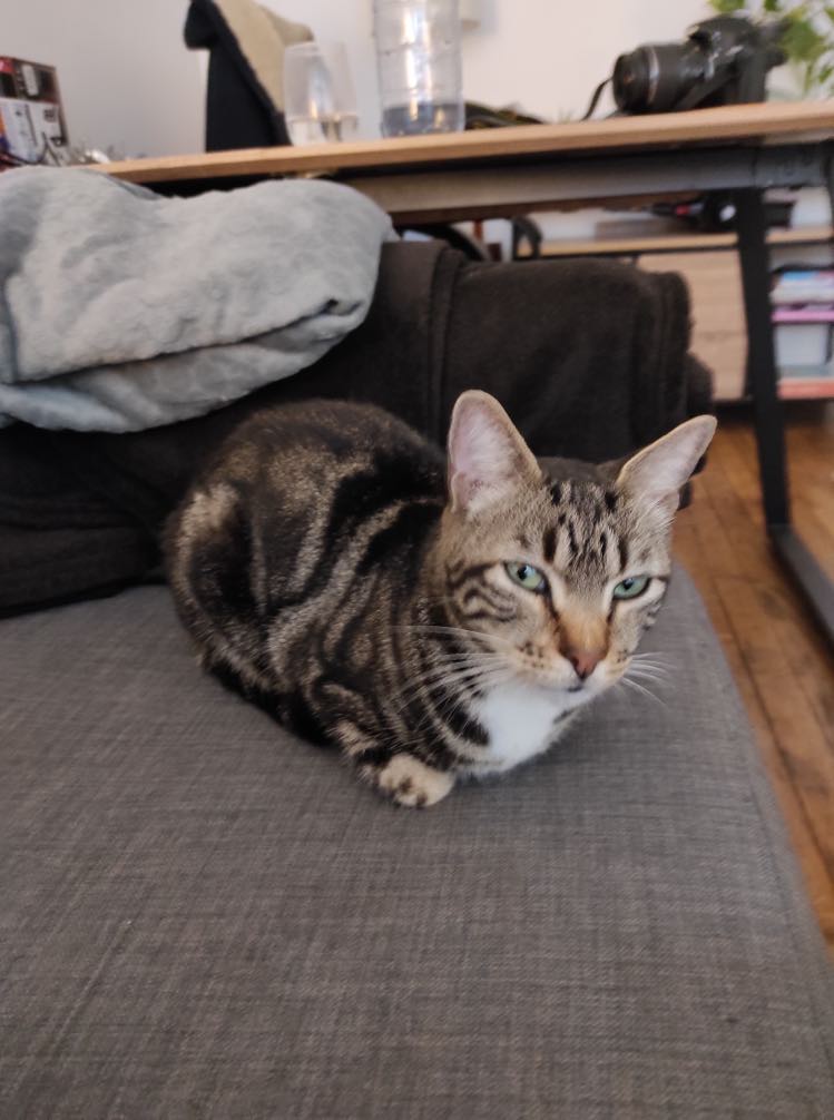 313075020_624268652734523_4501378281570970299_n