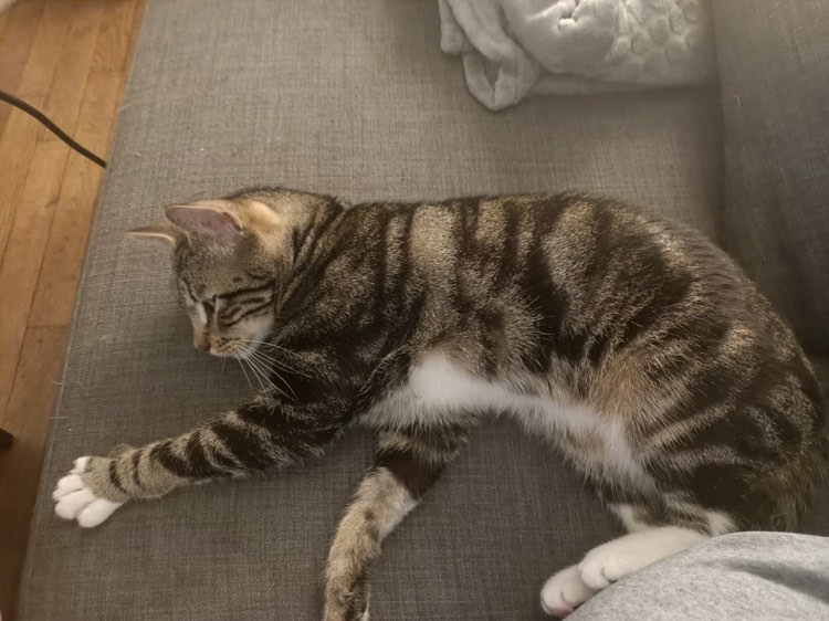 313081595_857003785323606_5202174181156692595_n