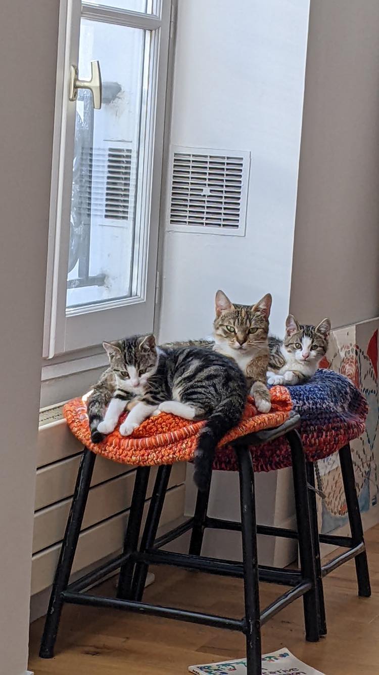 313101064_652284129888611_2180947927952233657_n