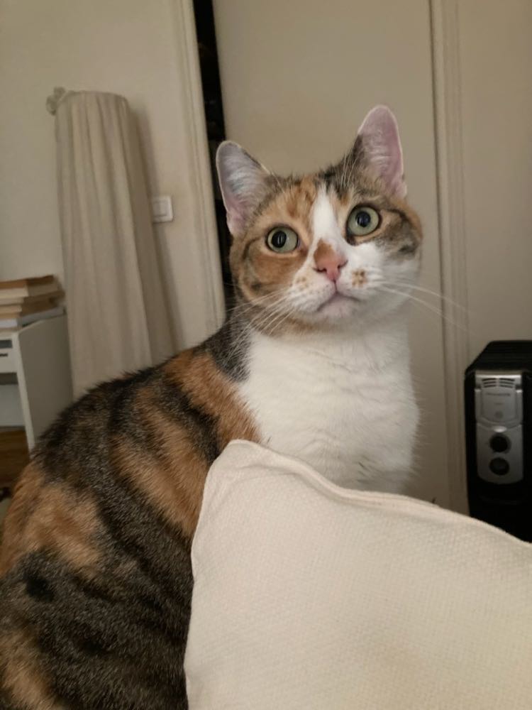 313115629_836560970816137_4871492802046860886_n