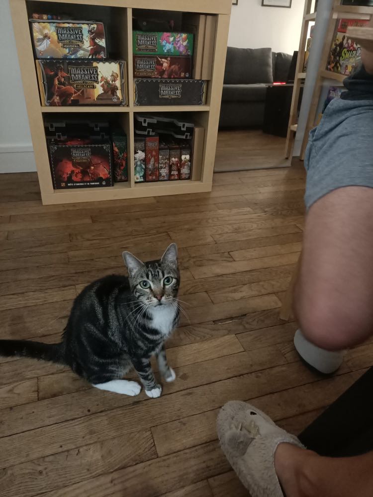 313212981_676521683824486_5395926464155369954_n