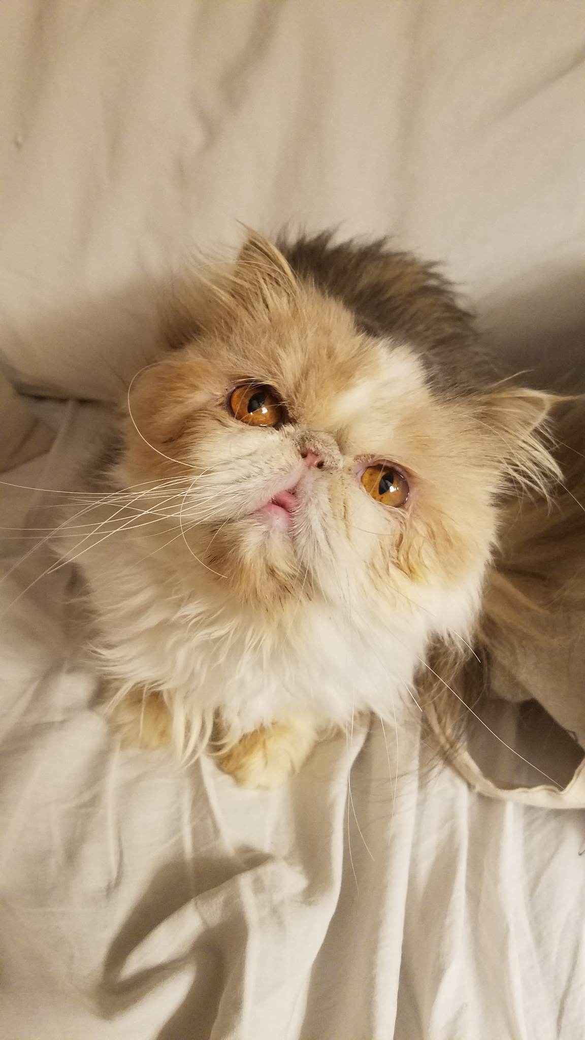 313492728_690863372652752_9141495923521125051_n