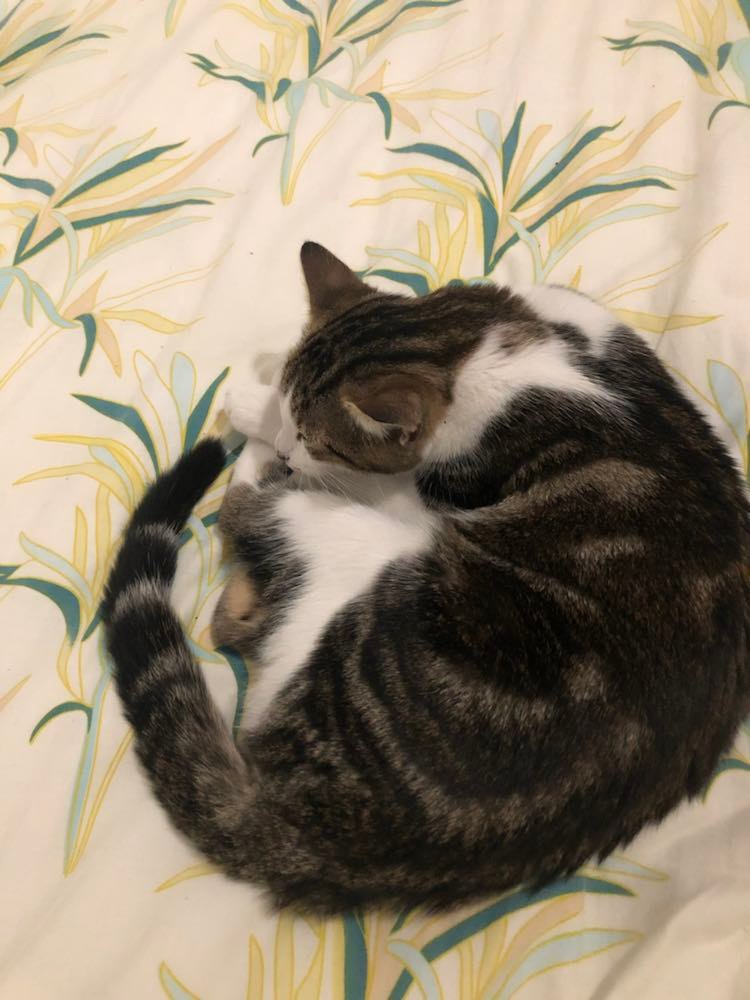 313633568_628883148934350_1208145040819176812_n