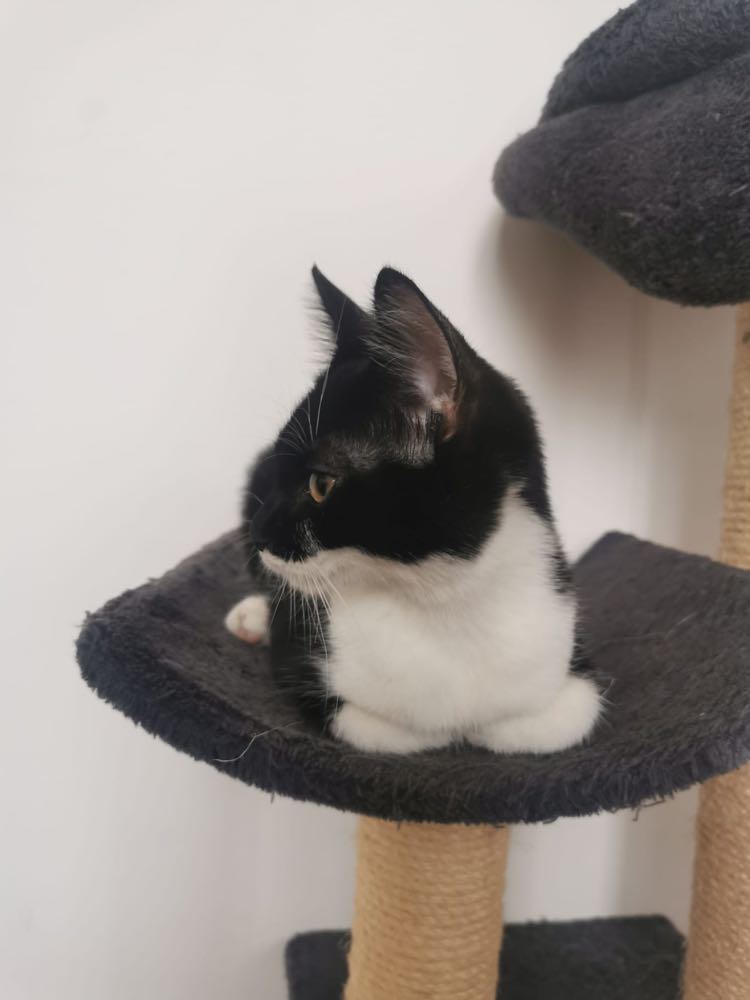 313875002_684404926582366_8425154484020867357_n