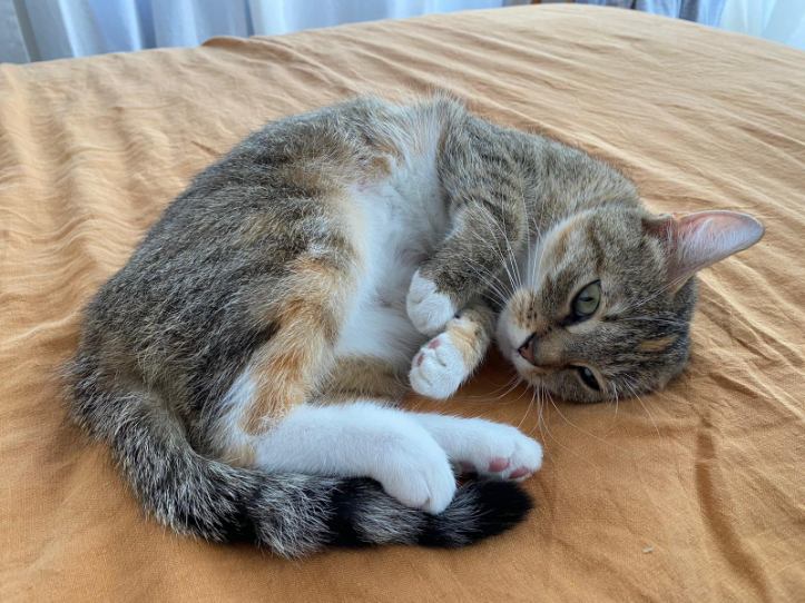 313912152_416575404023266_4896482850015514882_n