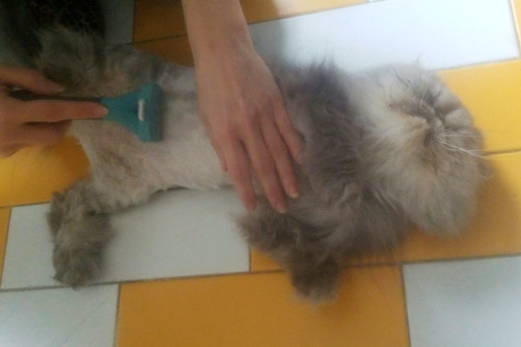 314078645_1773900236302274_6358097957748721258_n