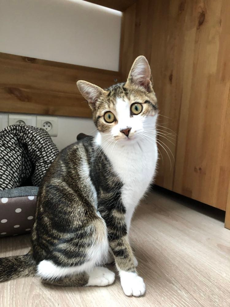 314105221_1149654895650457_6891741458108655039_n