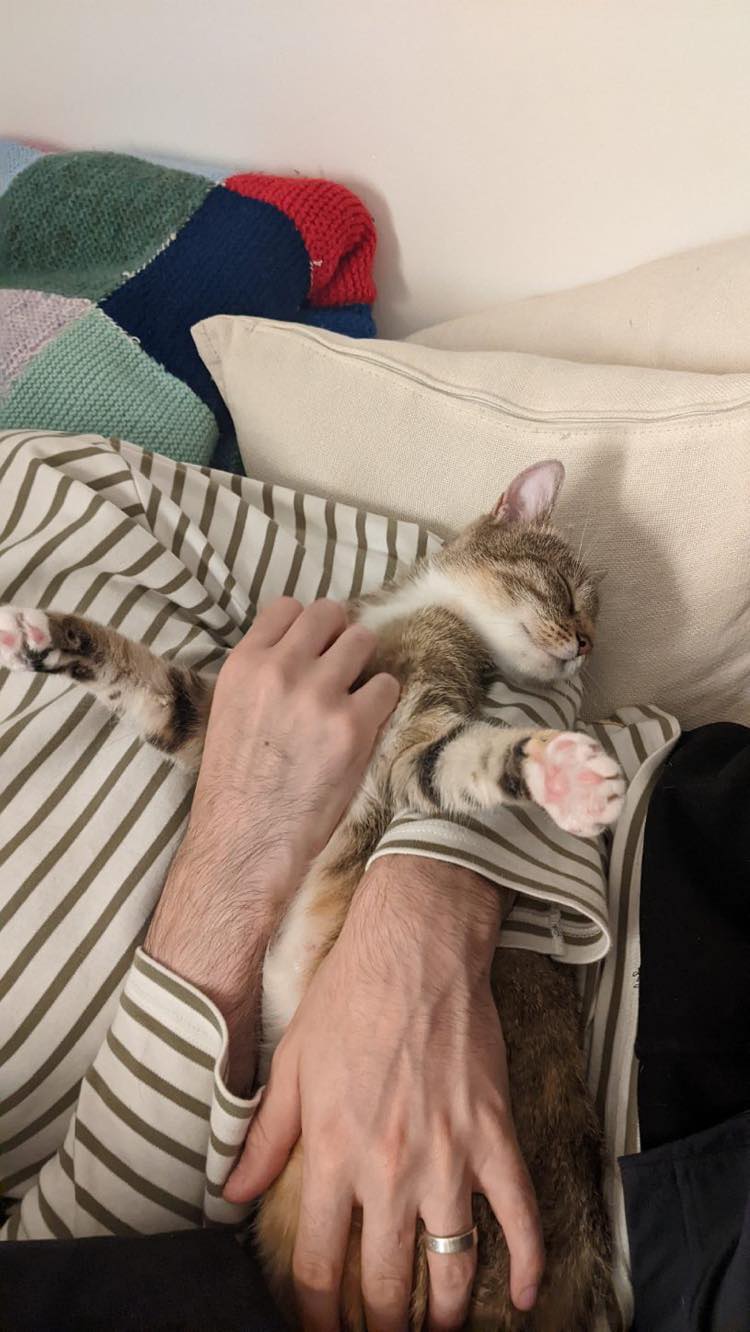 314126249_1315504452538281_6966999598598535760_n