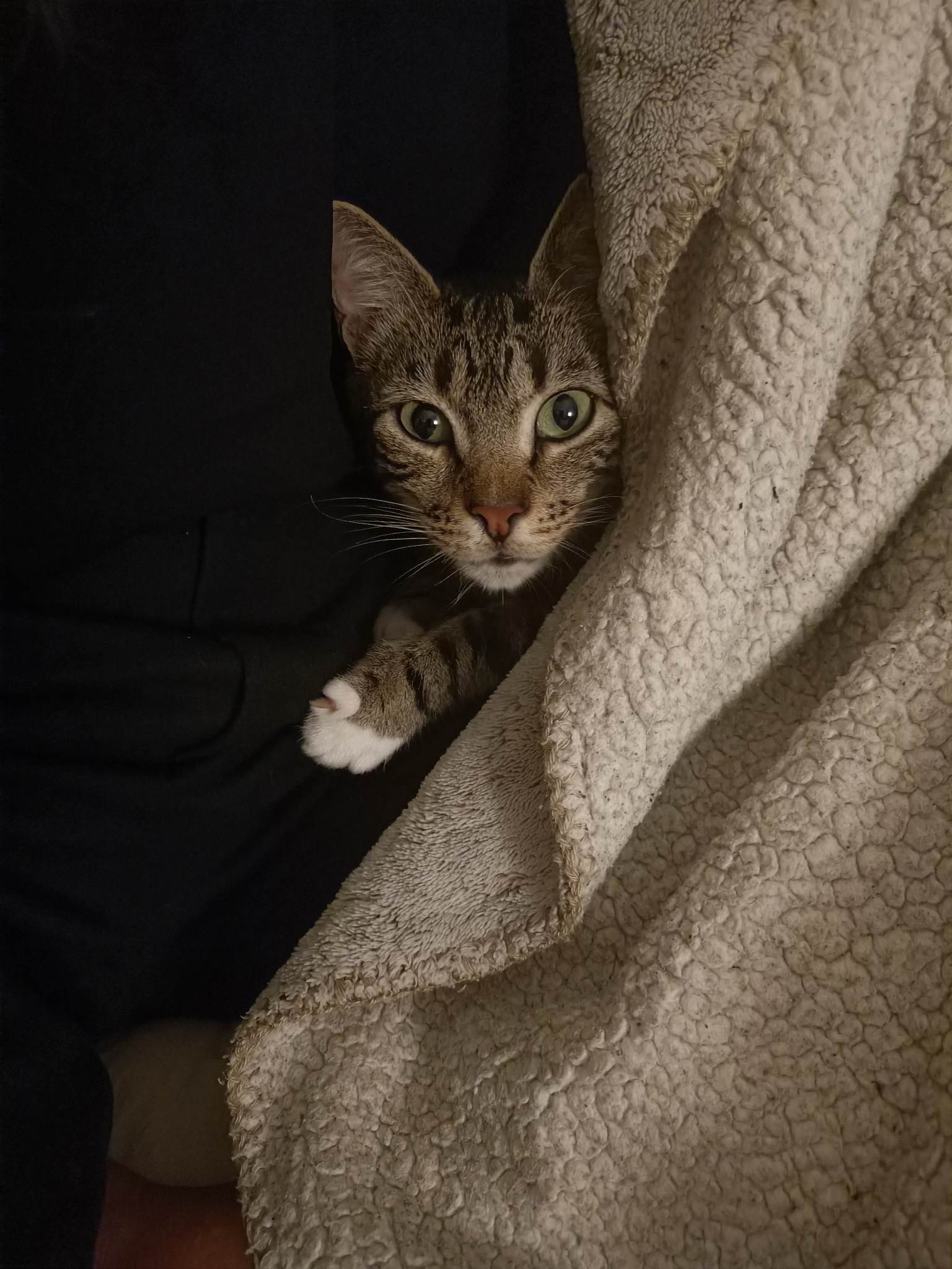 314378778_850373326313895_3480069385638356210_n