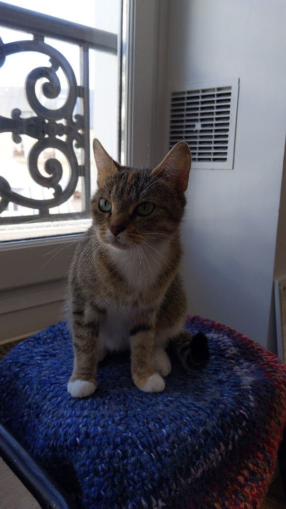 314421554_1773533829698866_5695791762603818298_n