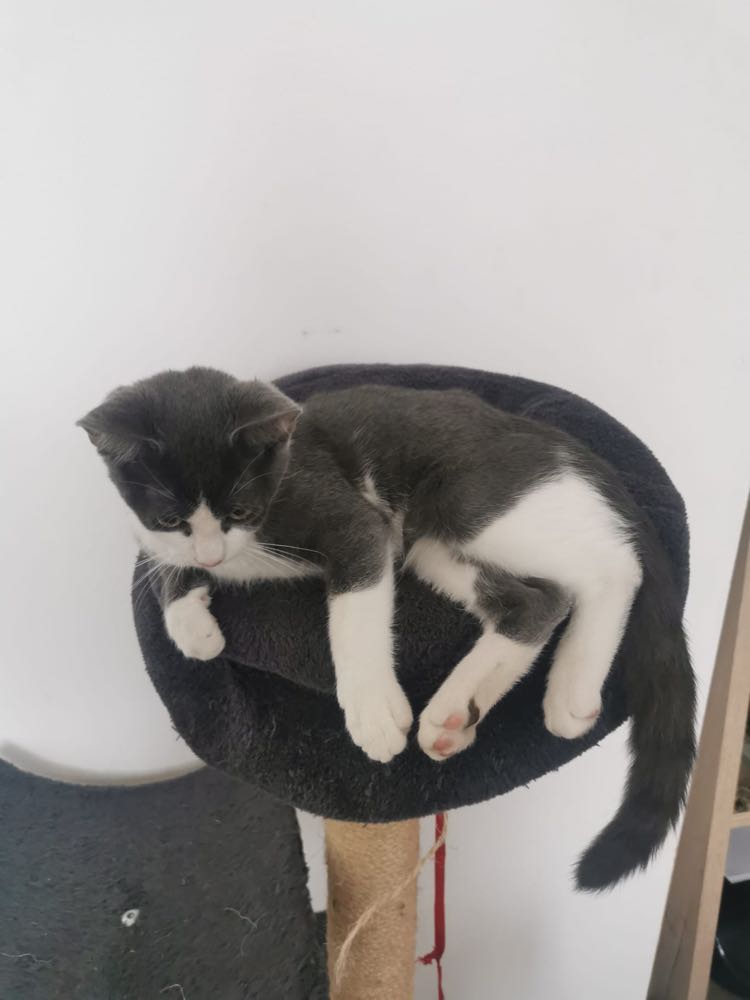 314450006_811288083578047_8311997907281773317_n