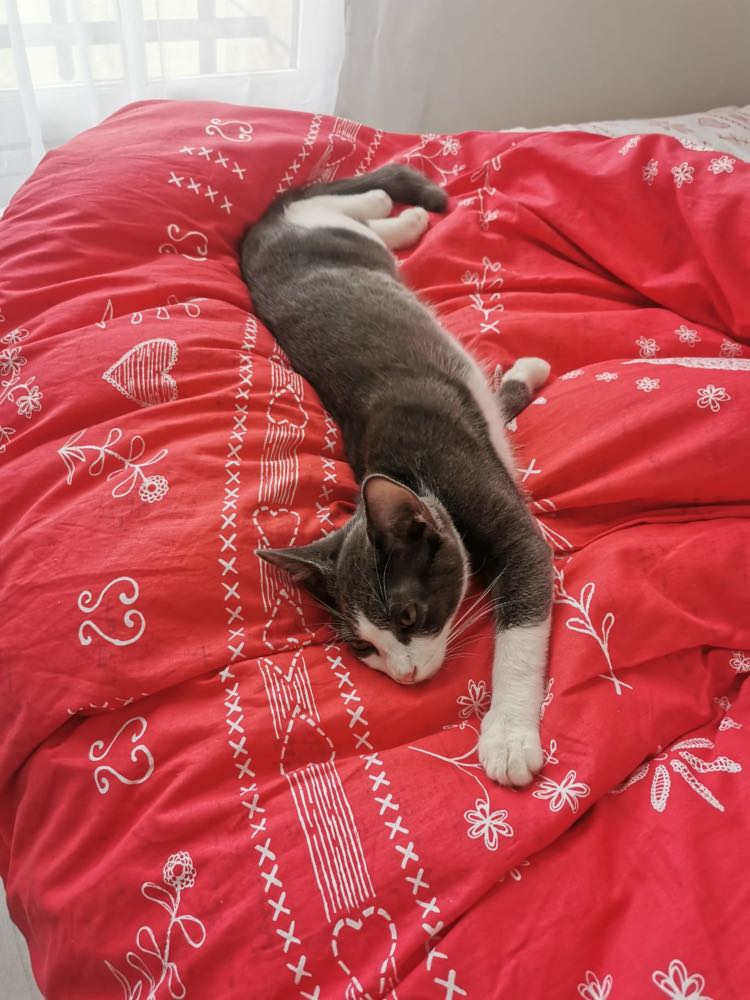 314452494_1172099943688316_8261881889971994120_n