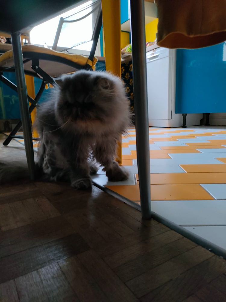 314468291_798328498131205_5295749878980444826_n