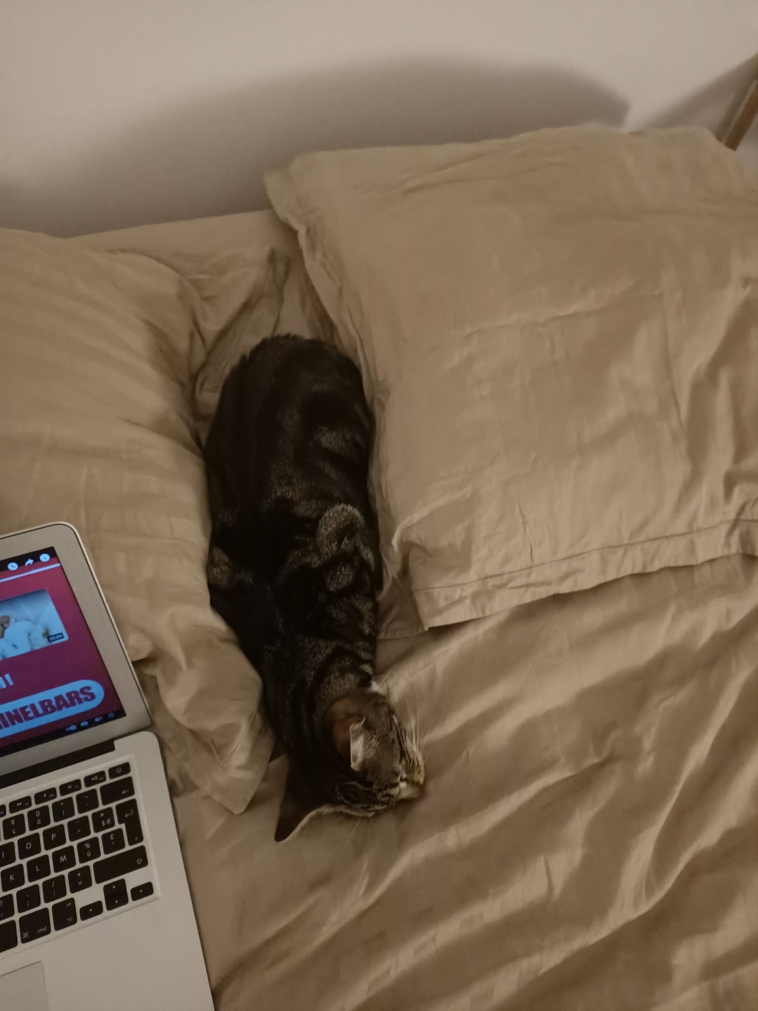 314519943_1529882677459263_6303249815046642997_n