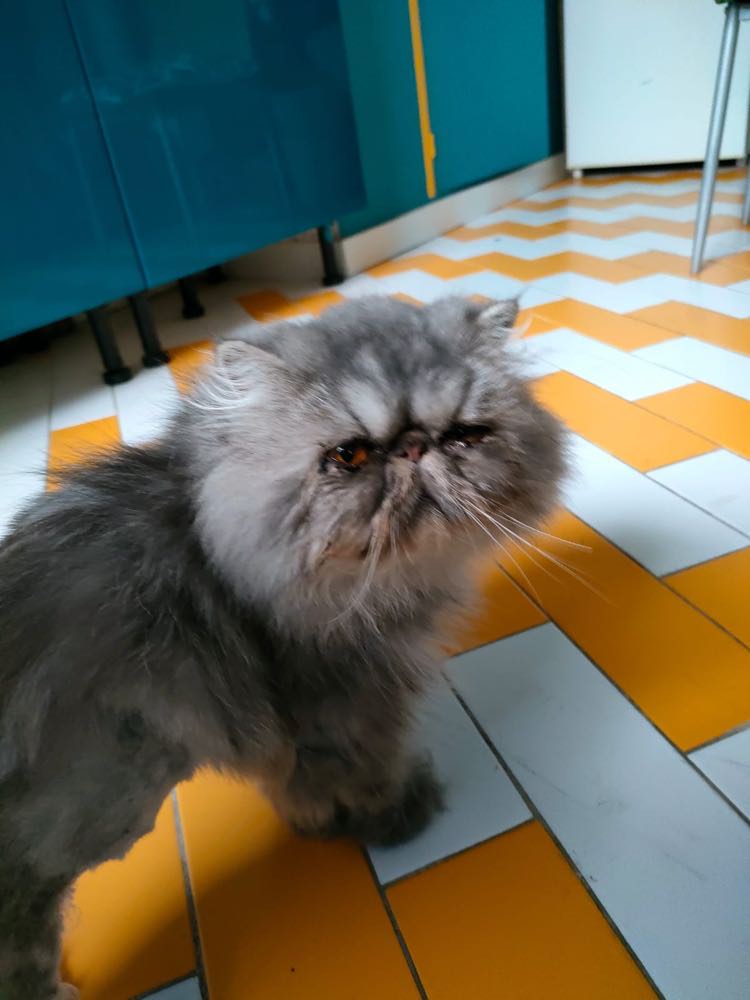 314606734_532696808259462_710085304323891512_n