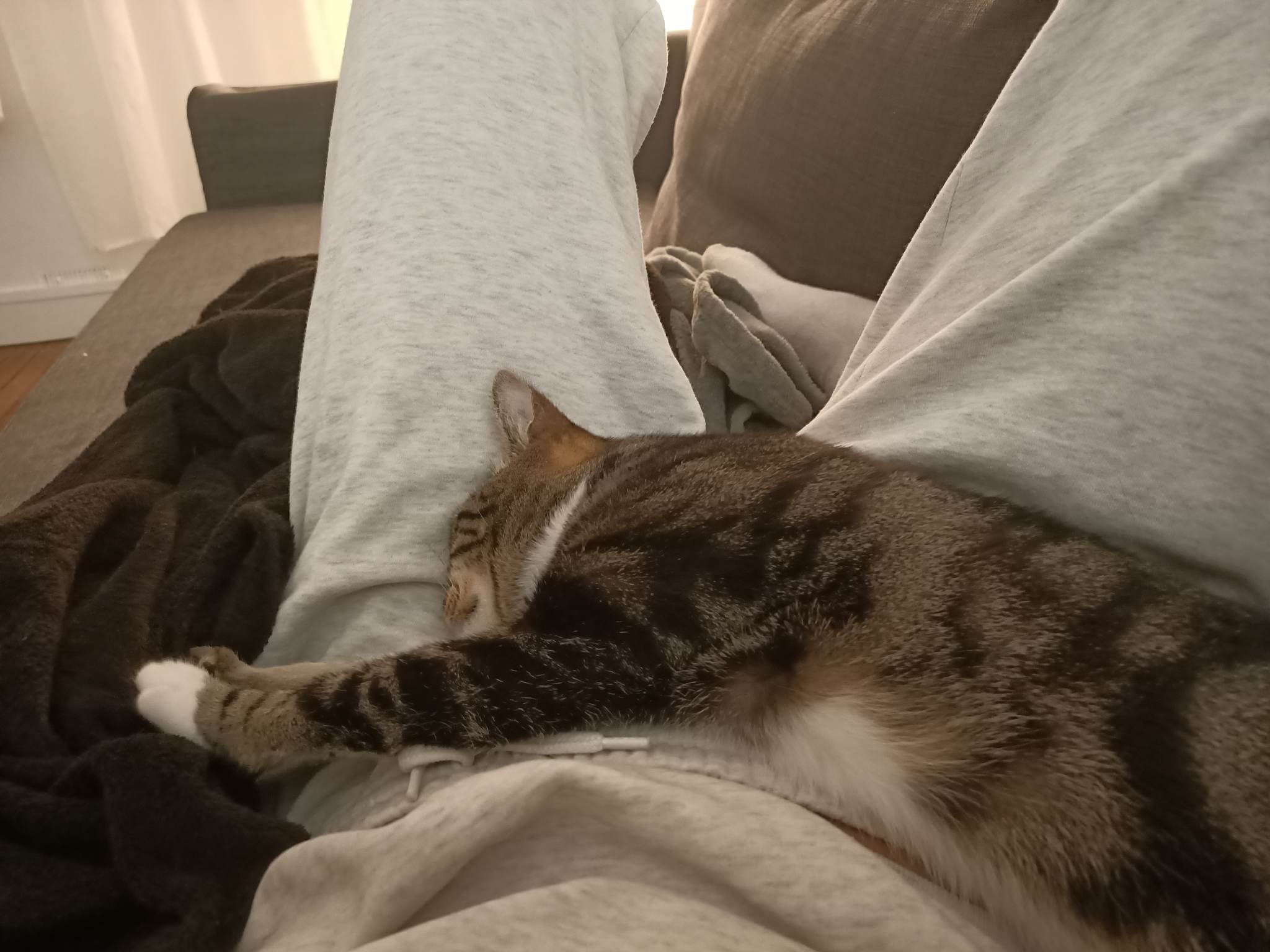 314653397_652305843110586_8616097950968716869_n-1