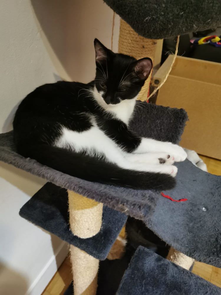 314671986_1334918757324683_2890704115286896134_n