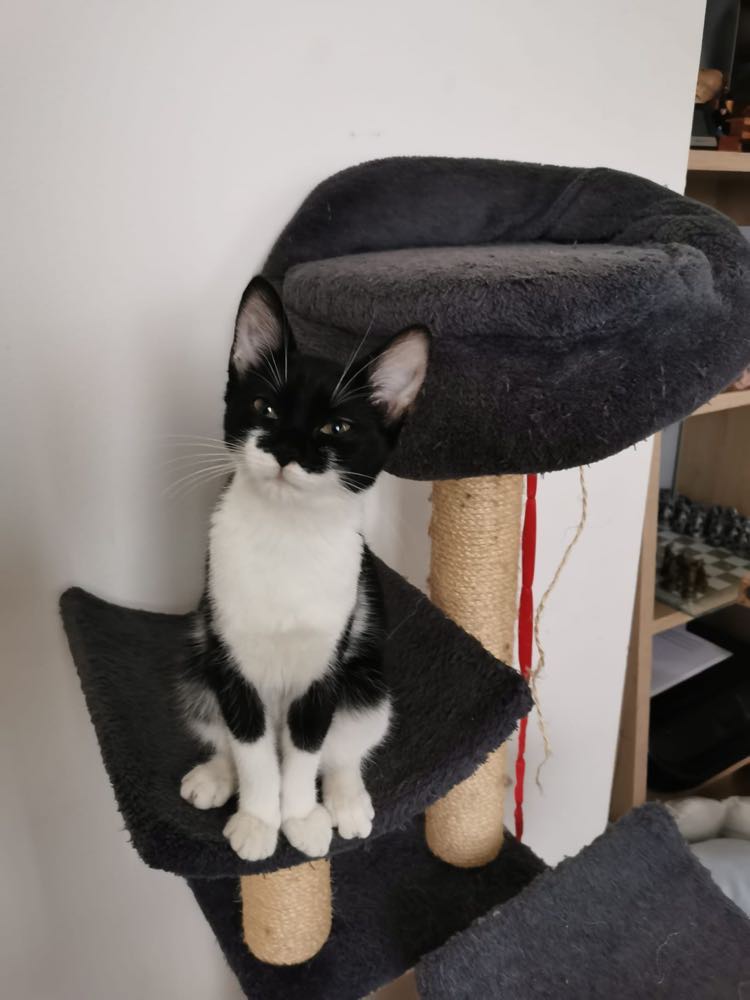 314674468_529003415364180_1129627283619674238_n