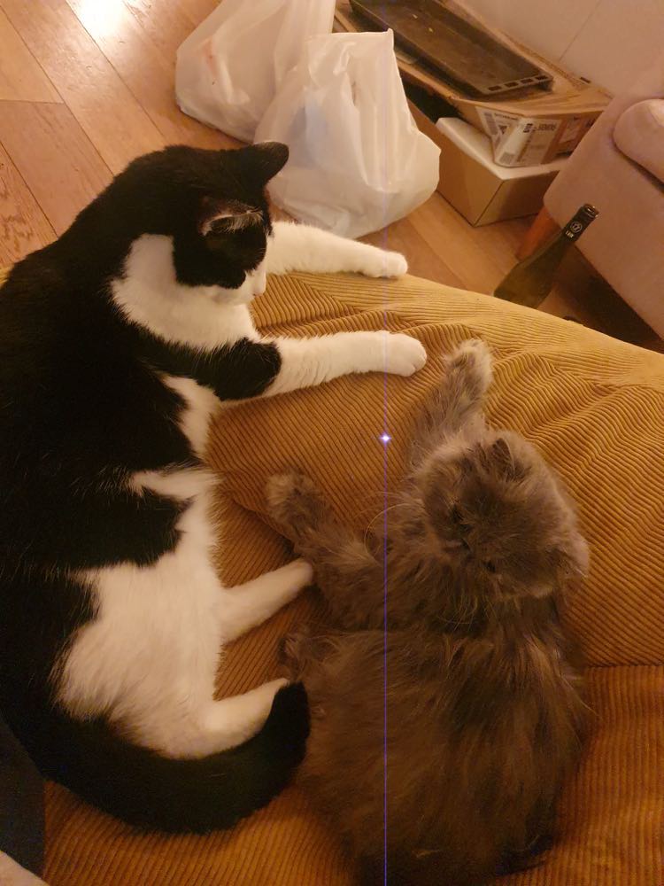 314675015_647697057018488_5954191580287515547_n