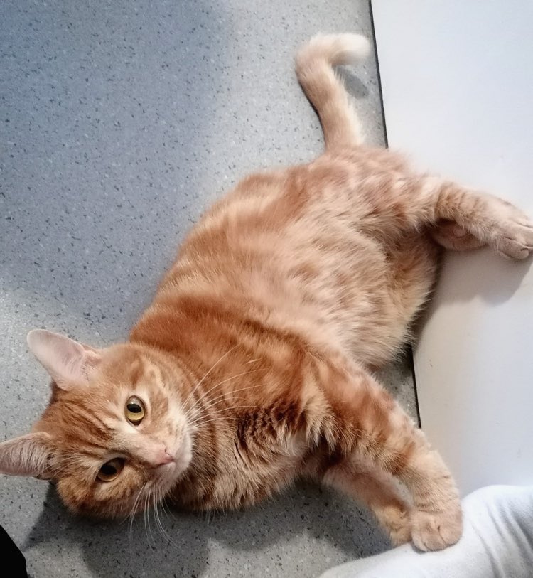 314685033_852774742421437_1892045236015222087_n