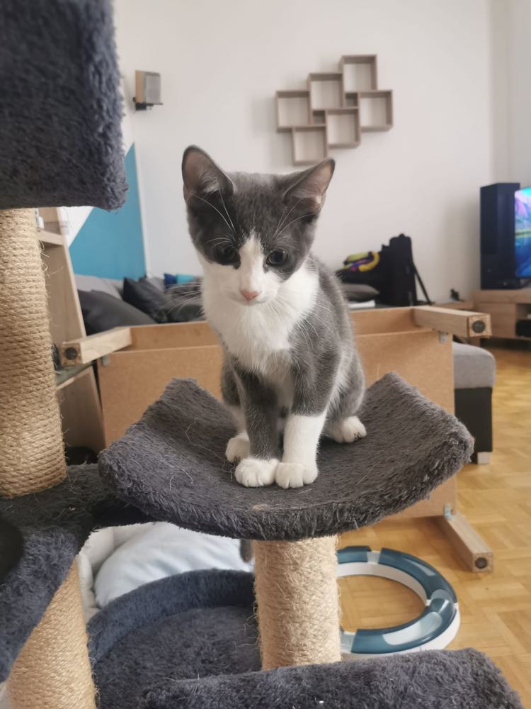 314685412_5159369794178184_595286764288725618_n