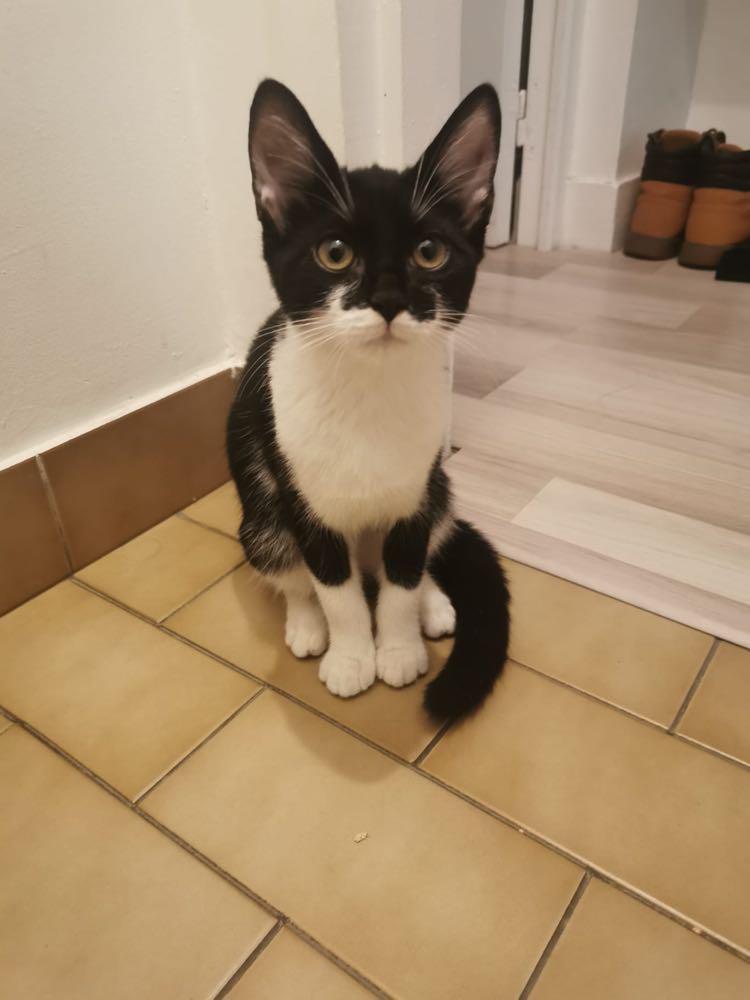 314685830_542925524337960_6103182619331553150_n