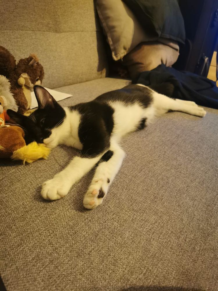 314691397_1181624702430020_1093179229071094382_n