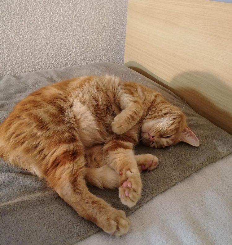 314691401_845602903148281_8049820336252325730_n