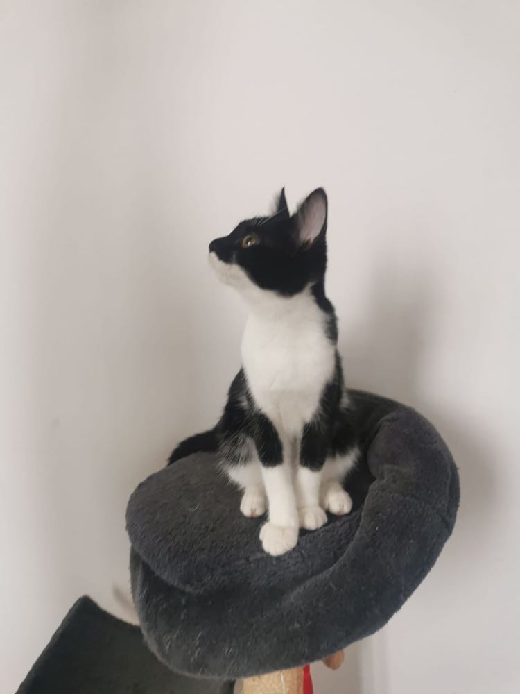 314697049_486814366732868_2877557953776470620_n