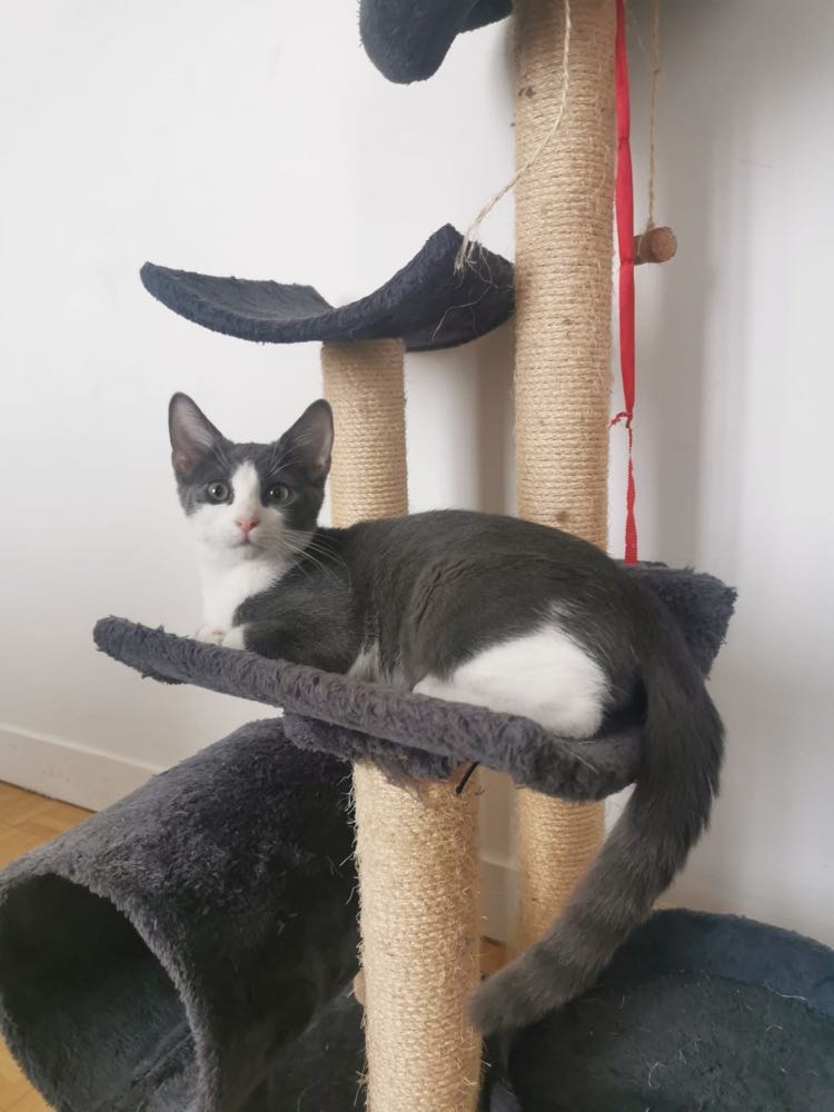 314699573_795839331500516_517559328452920273_n