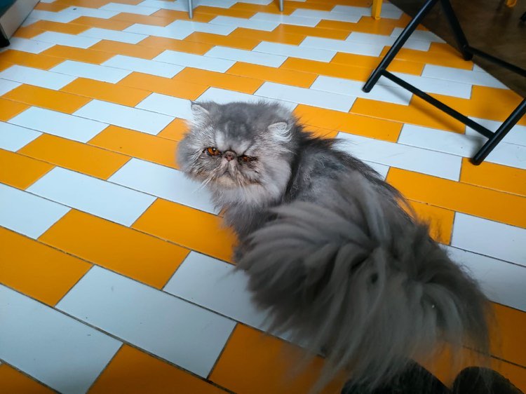 314719530_844266959944099_3427297383724684598_n