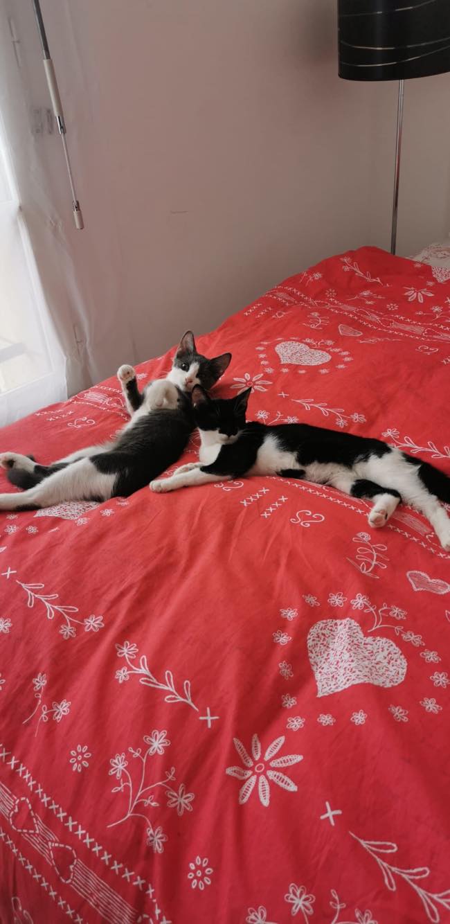 314743334_5537221529731476_4419884713112008995_n