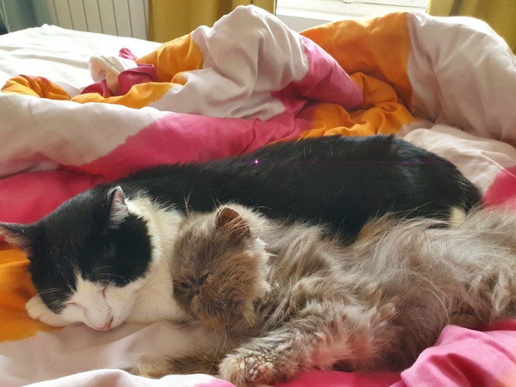 314767553_835065687645310_1691919906509010574_n