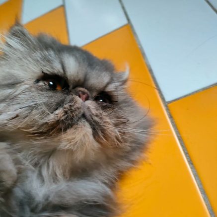 Photo de Paris Latino