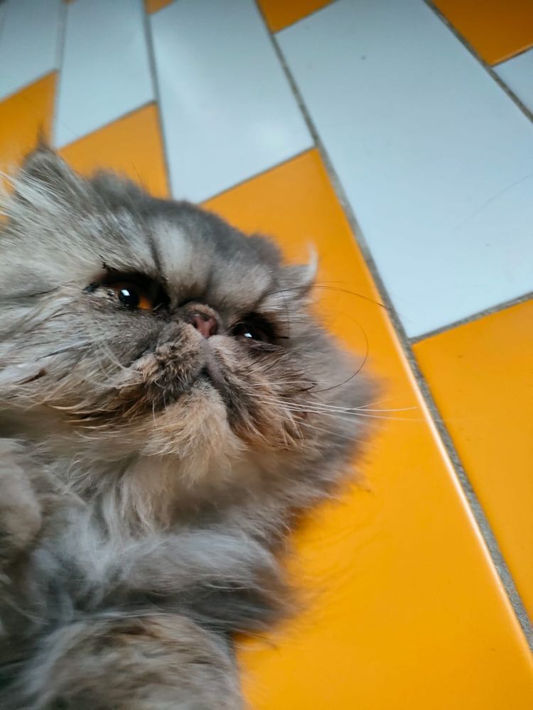 314837615_569579618503969_1097546487864723203_n