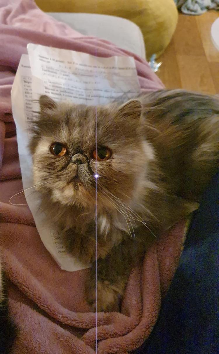 314928905_1320386792104906_3460132837051687615_n